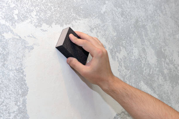  Mill Creek, WA Mold Removal Pros
