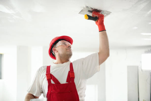 Best Mold-Related Health Consultation  in Mill Creek, WA