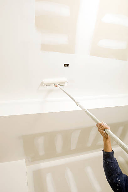Environmental Consulting for Mold Prevention in Mill Creek, WA