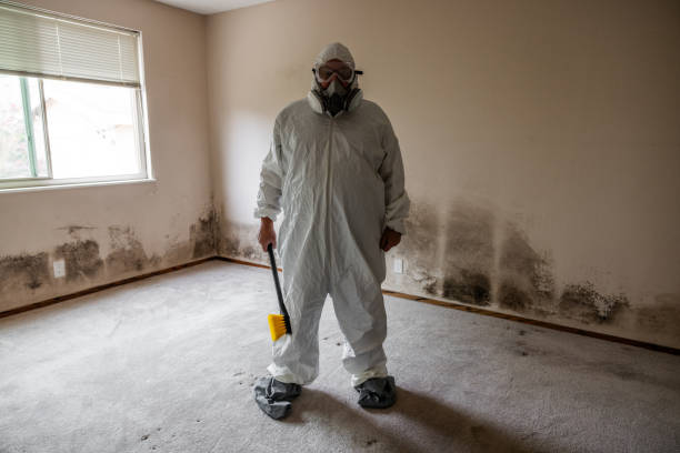 Best Biohazard Mold Removal  in Mill Creek, WA